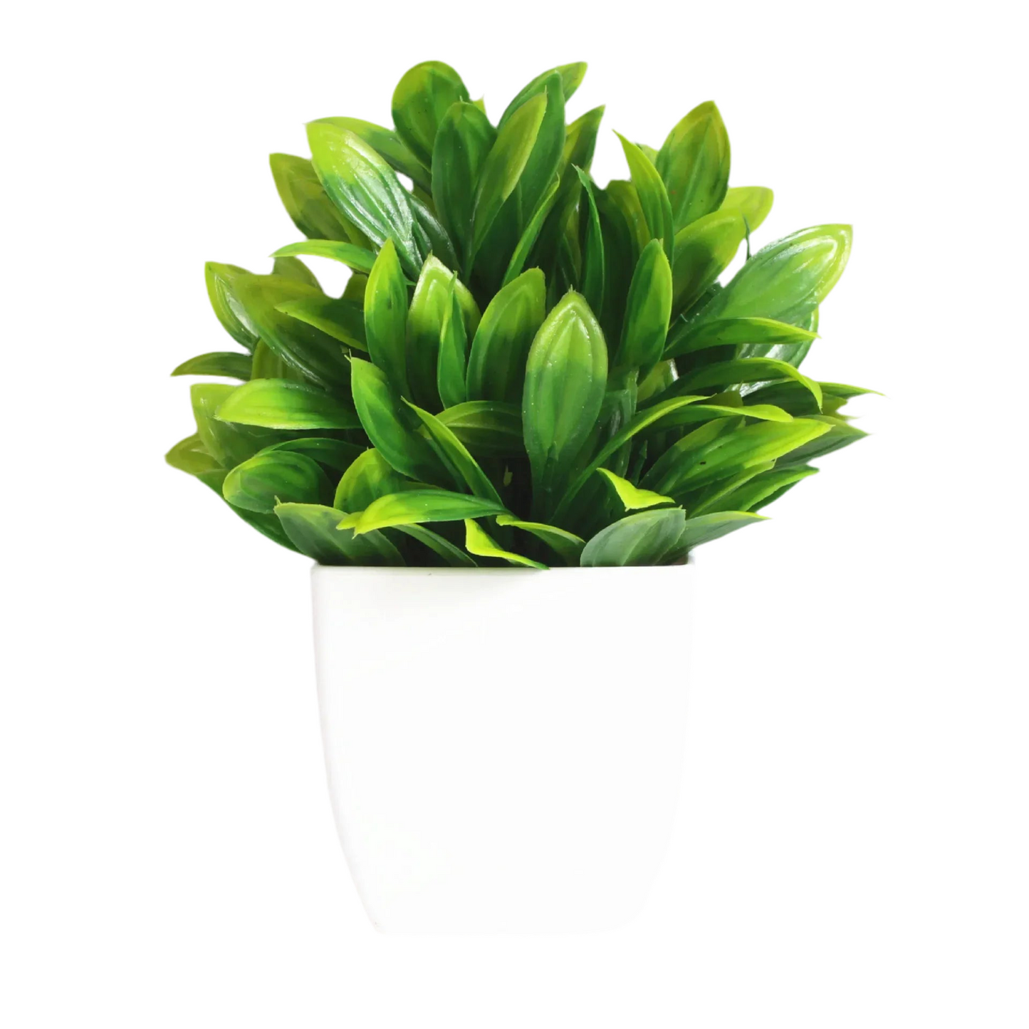 PLANTE ARTIFICIEL