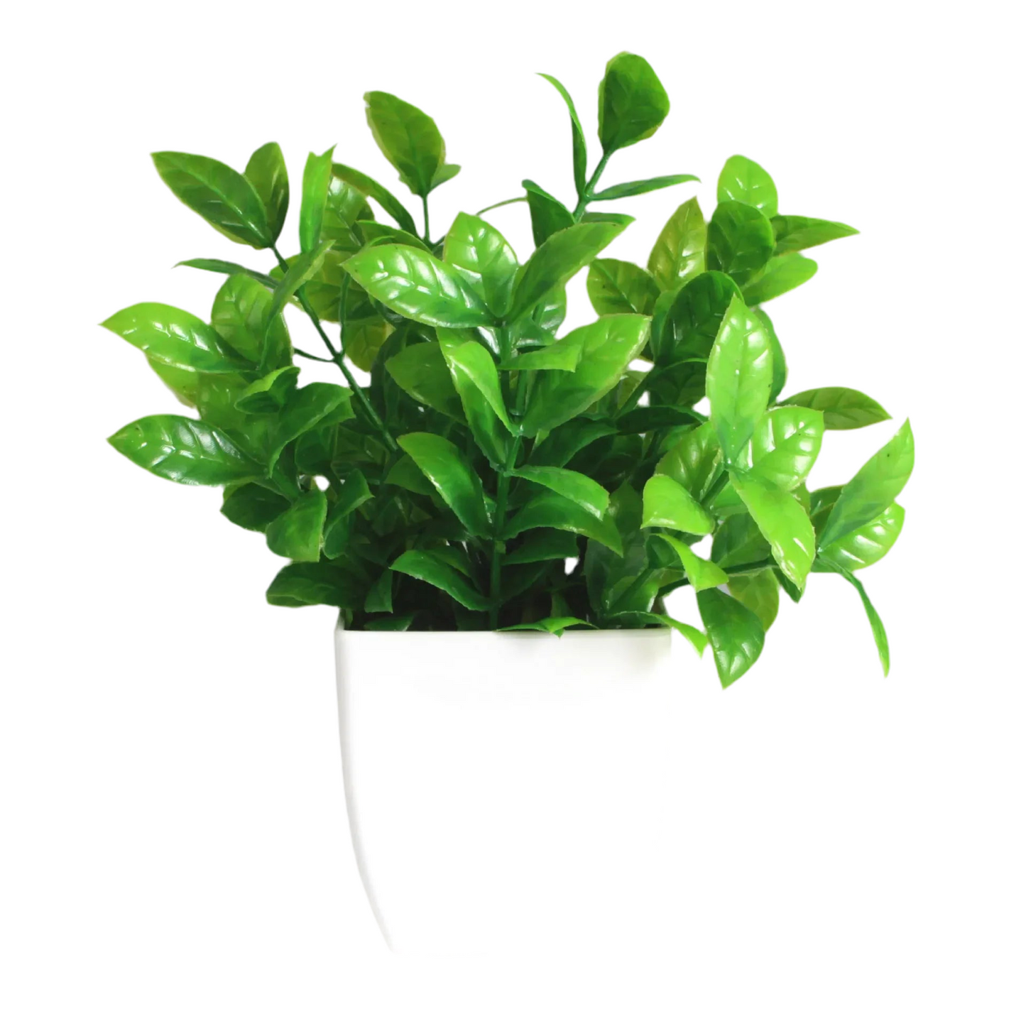 PLANTE ARTIFICIEL