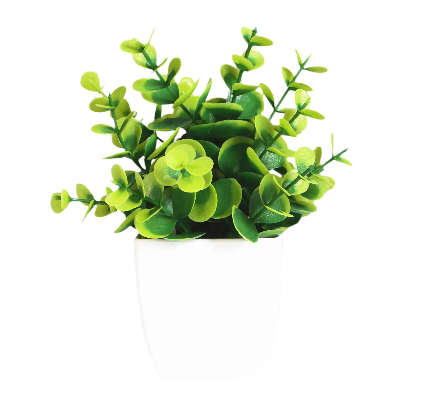PLANTE ARTIFICIEL