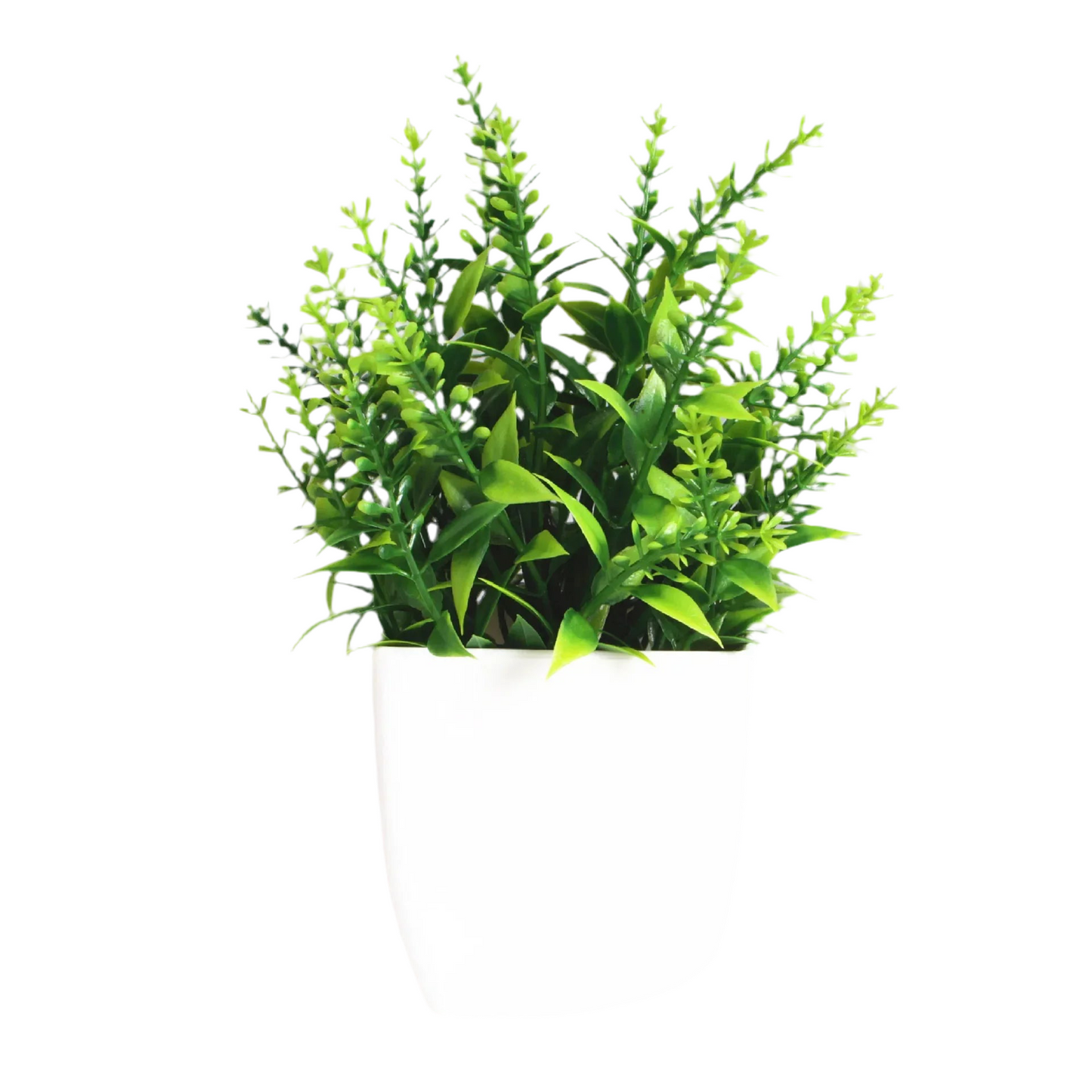 PLANTE ARTIFICIEL
