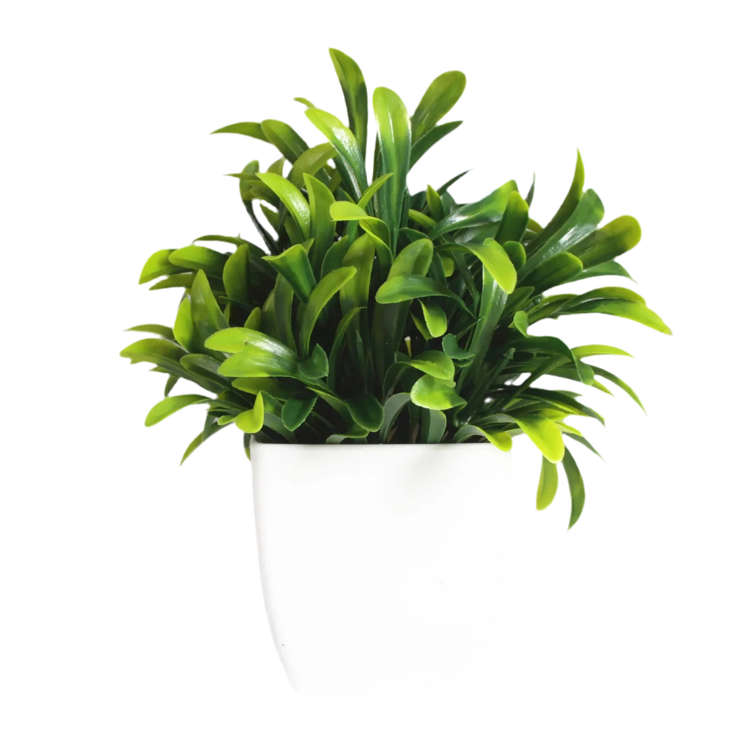 PLANTE ARTIFICIEL