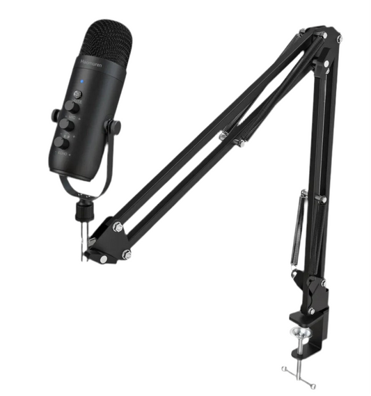 MICROPHONE PROFESSIONNEL