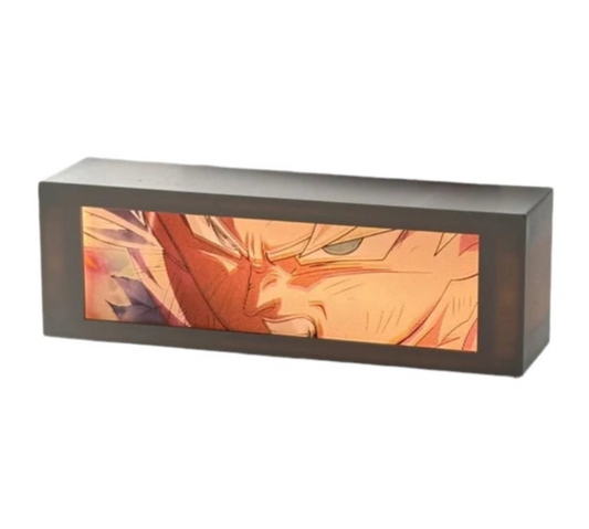 BOX LUMINEUSE Vision shop