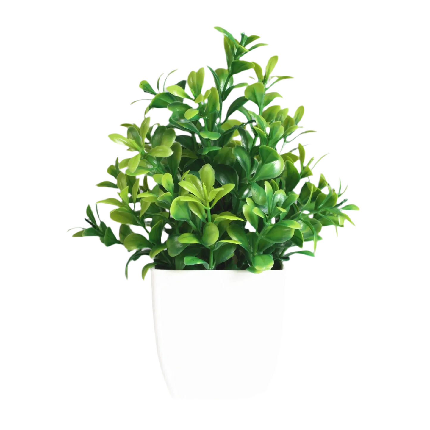 PLANTE ARTIFICIEL