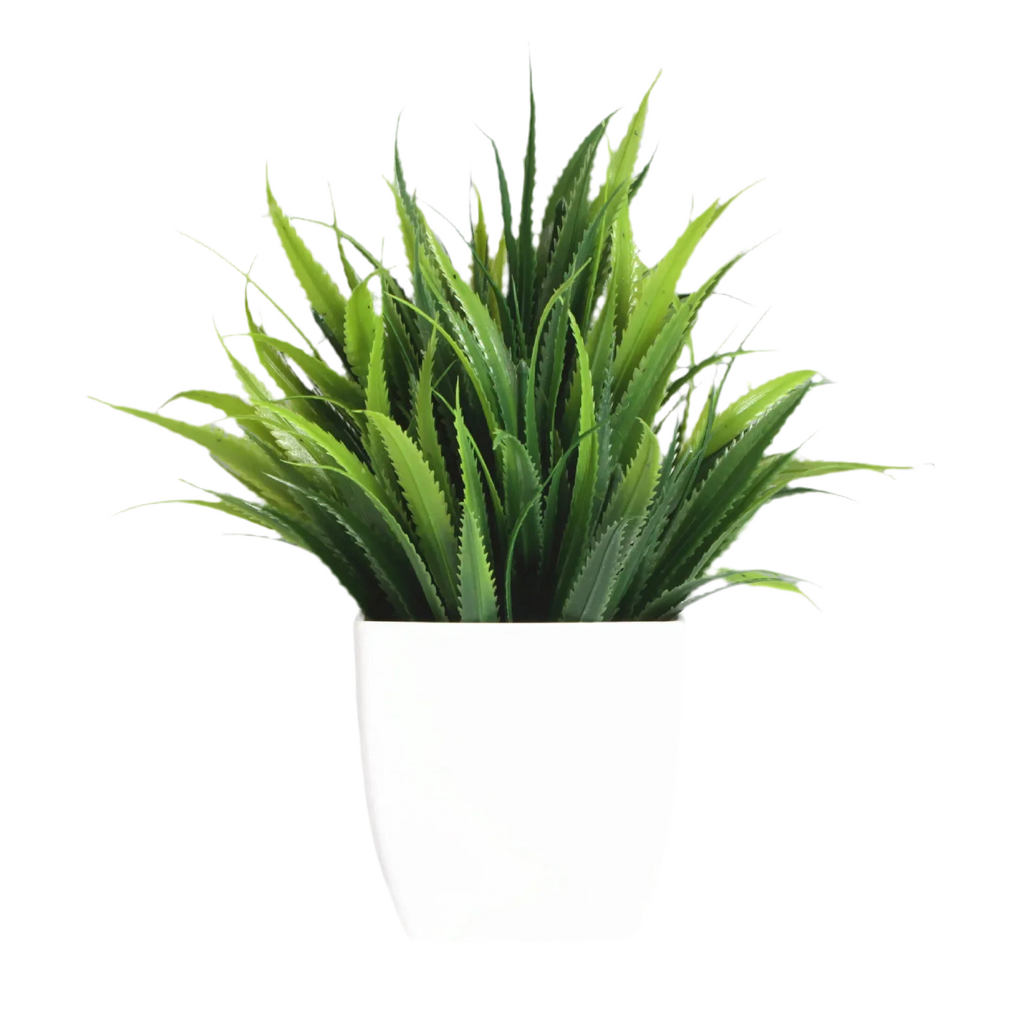 PLANTE ARTIFICIEL