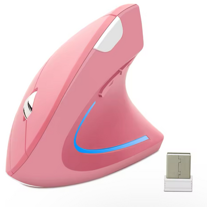 SOURIS SANS FIL